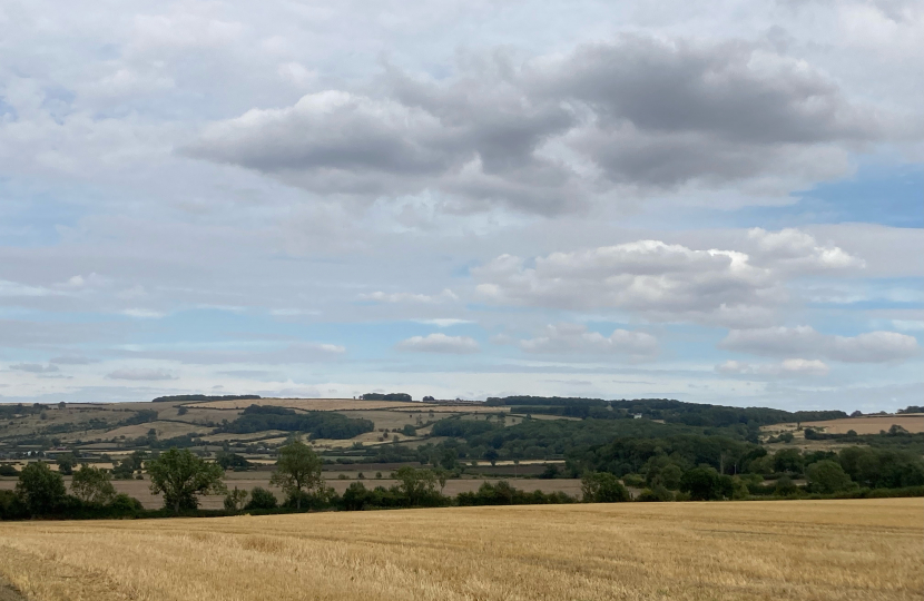 Conservatives protect landscape 